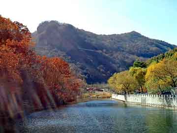 新澳天天开奖资料大全旅游团，花链